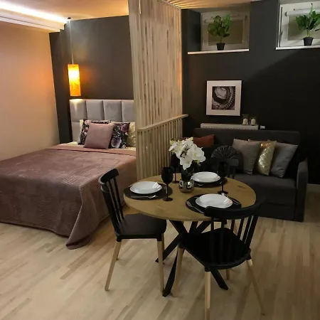 Petit Apartement Old Town Krakow-2